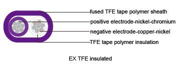 TFE