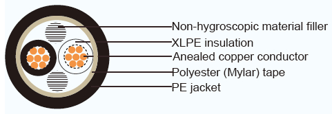 CCE 